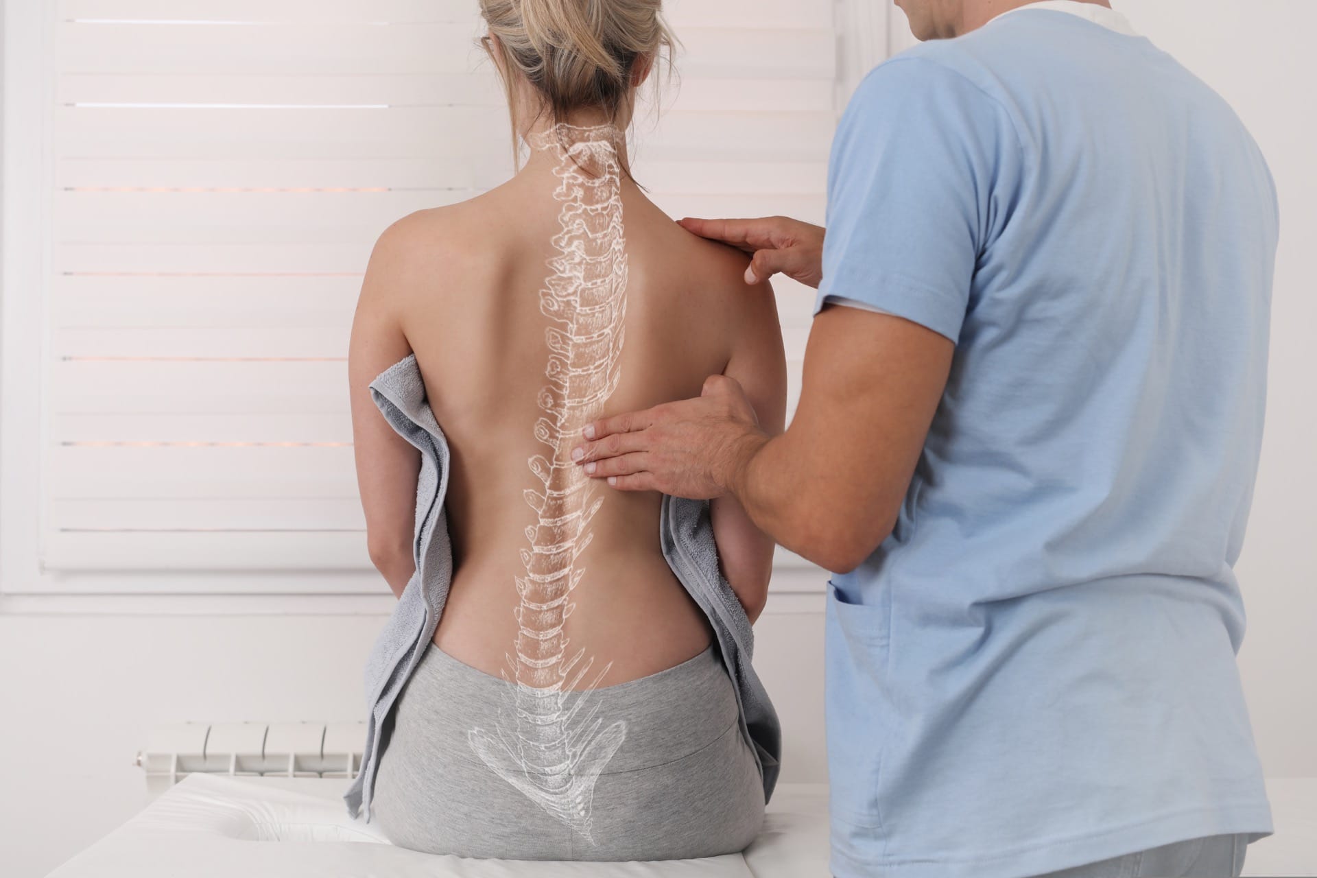 Chiropractic spine