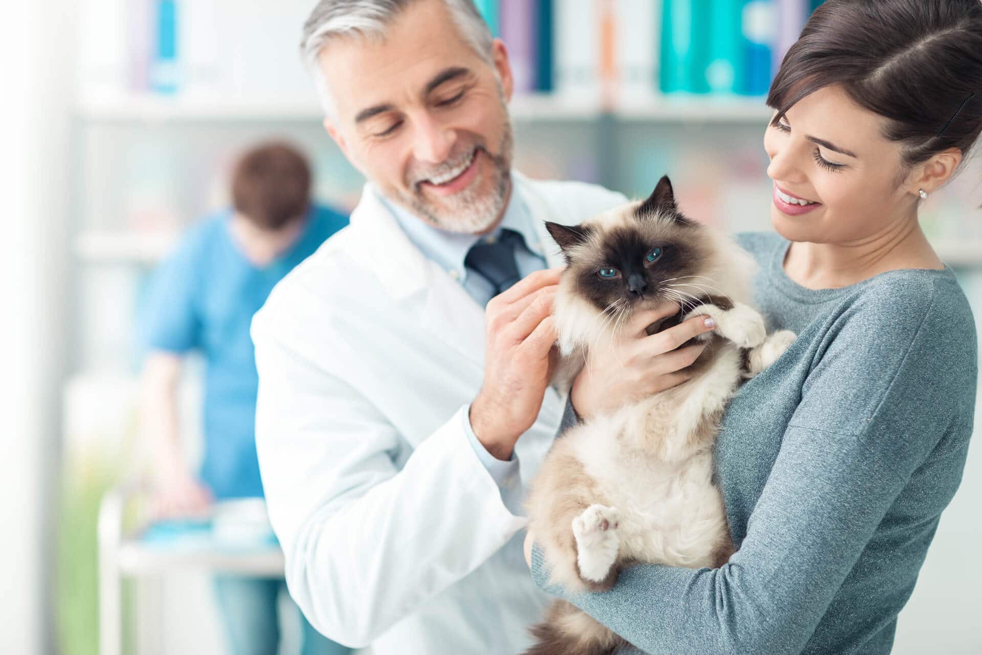 Smiling woman cat veterinary doctor veterinarian pet