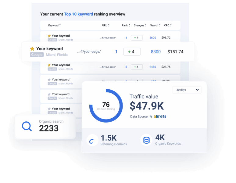 professional seo audit