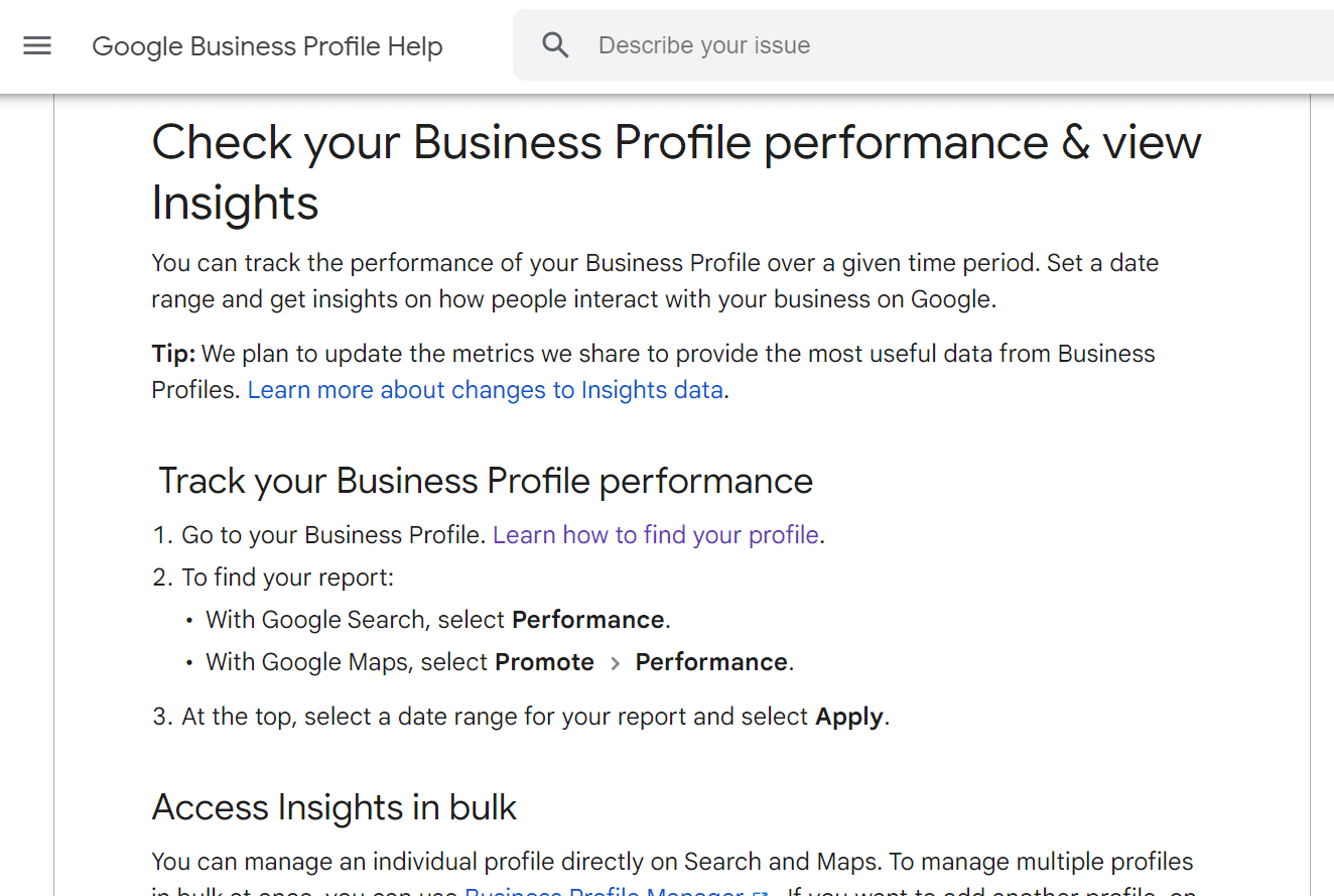How to do a professional local seo audit: a simple guide 2 Word image 65240 2